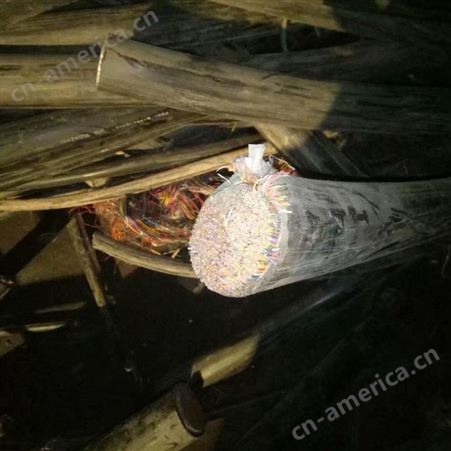 广州周边裸电缆回收总店 废旧电线电缆收购网站