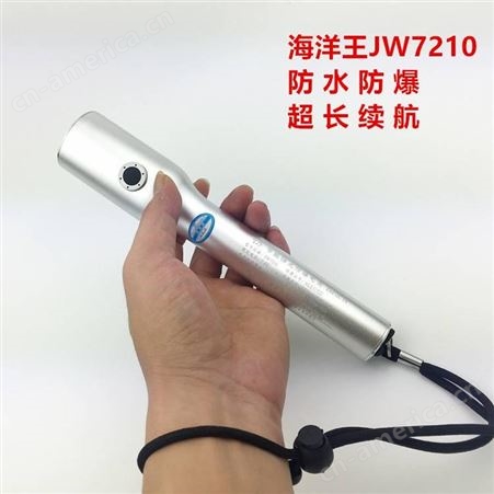 JW7210袖珍节能便携巡检灯 防爆强光手电筒