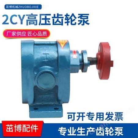 2CY高压齿轮泵-燃烧器泵-点火泵-重油泵-渣油泵-煤焦油泵-增压燃油泵