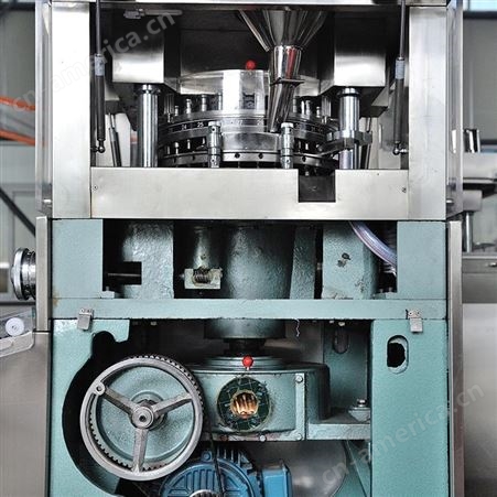 35冲旋转式压片机 压片机 雷迈机械 多年生产厂家 