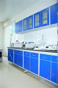 辽宁优佳实验室设备  耐用的吊柜 生产厂商销售 免费设计方案