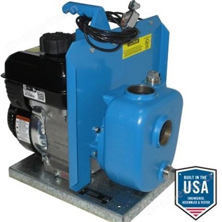 美国Goulds研磨泵BRJ12G优势供应