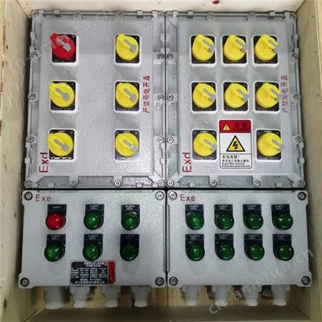污水处理厂防爆配电箱BXMD-6回路防爆照明动力配电箱