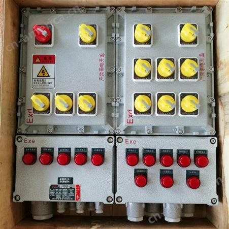 依客思 户外消防防爆应急照明配电箱BXM52 防爆集中电源控制箱A型