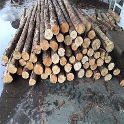 松木打桩木 重庆打桩木厂家 打桩木价格 牧叶