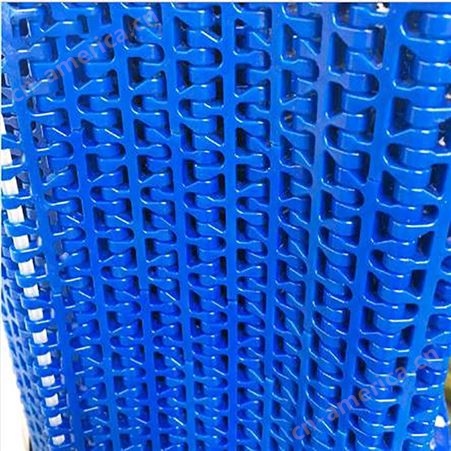 喷淋杀菌机用网带 1010模块网链 耐高温拼装组合链网 塑料网带链 输送机械网带