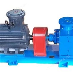 定制 不锈钢磁力齿轮泵 短程蒸馏出料齿轮泵 保温真空出料齿轮泵