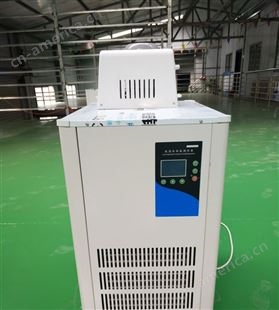 佰泽仪器DLSZ型低温冷却液循环真空泵 智能控温设备 防爆