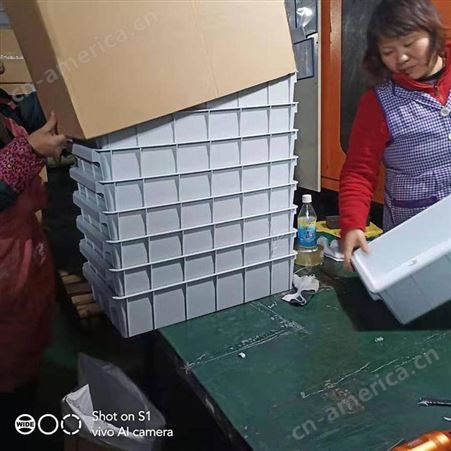 注塑模具上海一东专业开模订制养殖塑料大筐开模注塑收纳箱设计储物筐开发制造生产供应