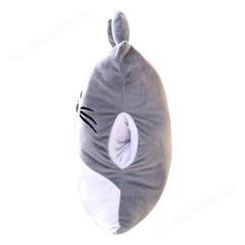 红素龙猫暖手抱枕 抱枕被 免费设计logo 300件起订不单独零售