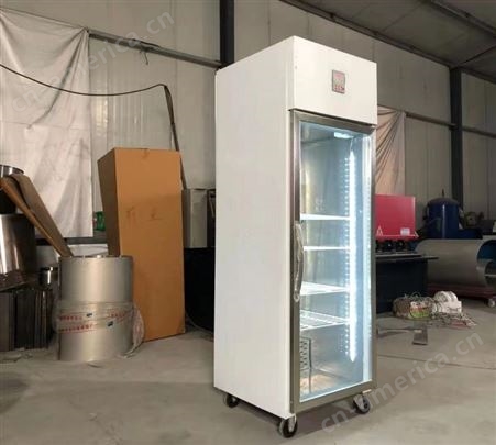 郑州酸奶发酵机厂家 冷藏发酵 单门双门 风冷酸奶发酵箱 发酵柜