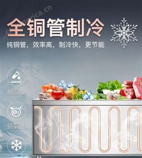 贵州 商用冷藏工作台保鲜冰箱冷冻冷柜平冷操作台冰柜厨房水吧设备
