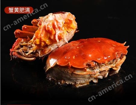 8月13到25日潜江4.5两规格清水螃蟹67/斤鲜活大闸蟹六月黄淡水螃蟹30斤起售