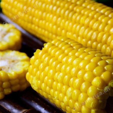 速冻新鲜甜玉米粒黄粒 成品冷藏食品供应绿拓食品