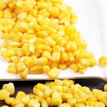 速冻新鲜甜玉米粒黄粒 成品冷藏食品供应绿拓食品
