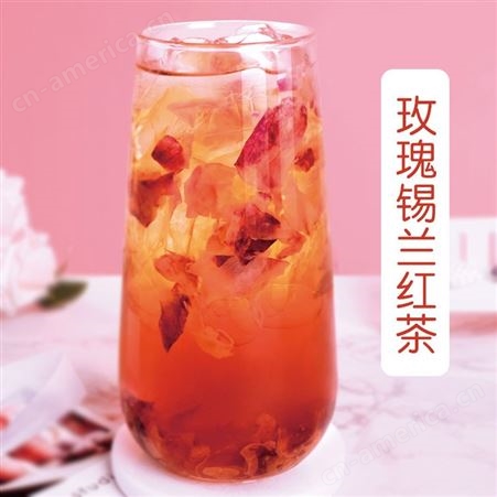 玫瑰果味酱销售 2.5kg罐装商用 绵竹奶茶原料批发 米雪公主