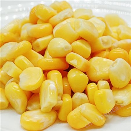 有机蔬菜速冻甜玉米厂家批发出售 冷冻玉米粒常年出售