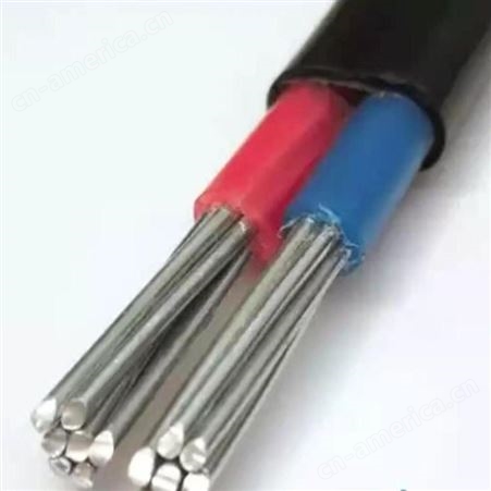  弘泰线缆有限公司 一枝秀 防老化电线铝芯电线架空电缆BLVVB2*4