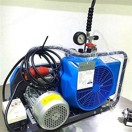 恒煤 厂家供应 呼吸器充气泵 SVGC100/MCH 压空气压缩机