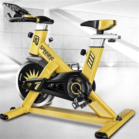 AB动感单车健身车家用脚踏车室内运动自行车锻炼健身器材