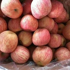烟台红富士 新品种苹果实惠好吃 红富士价格美丽 甜度好果实大裕顺基地