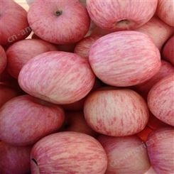 红富士苹果批发 苹果新鲜水分多 红富士价格美丽 甜度好果实大裕顺基地