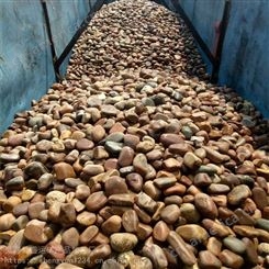 天然鹅卵石厂家供应 鹅卵石 鹅卵石滤料 园艺铺设鹅卵石