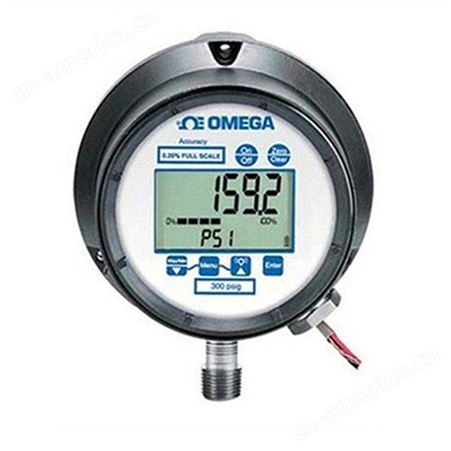 DPG9000系列OMEGA欧米茄 DPG9000系列工业数字压力表