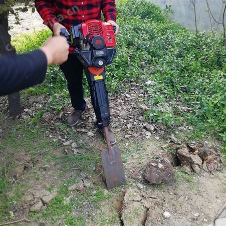 山东移栽苗木挖树机 链条合金挖树机 带土球便携式挖树机