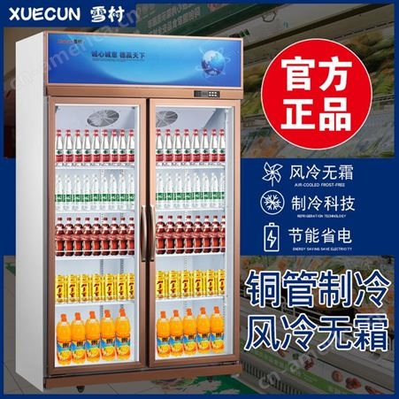 雪村商用超市陈列柜冷藏保鲜柜饮料啤酒立式冰柜两门三门展示柜