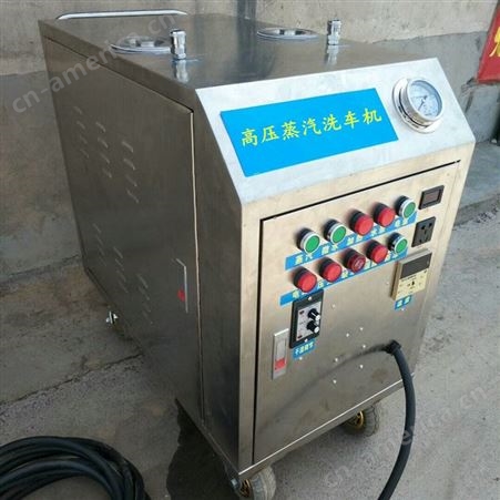 高压蒸汽清洗机 上门燃气蒸汽洗车机 多功能蒸汽清洁机