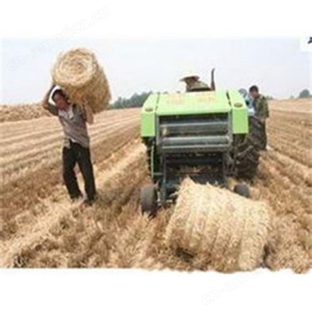 生产加工 小麦秸秆圆捆机 农作物粉碎压块机 站立捡拾圆捆机