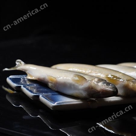 云龙水产鸭绿江新鲜养殖香鱼 厂家批发鲜活冷冻香鱼 欢迎选购