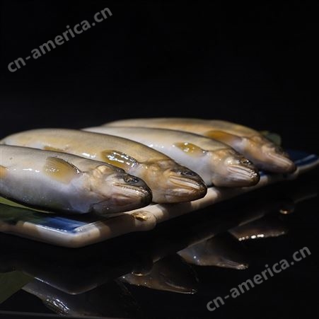 云龙水产鸭绿江新鲜养殖香鱼 厂家批发鲜活冷冻香鱼 欢迎选购
