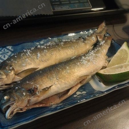 鸭绿江特产香鱼新鲜刺身 淡水香鱼烧烤 香鱼海鲜香鱼