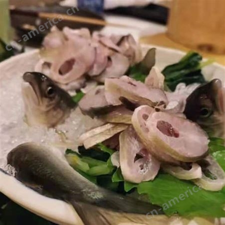 香鱼片日料食材 香鱼铁板烧 冰鲜香鱼河鲜水产特产香鱼