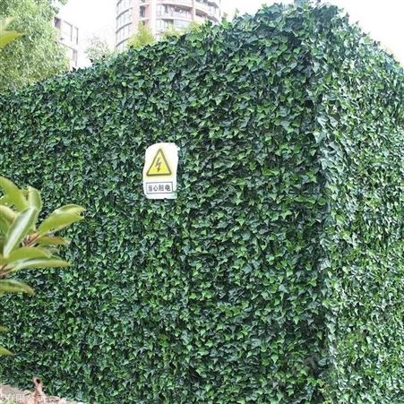 上海绿色植物墙 室外外墙植物墙