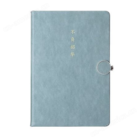 武汉印刷皮质商务笔记 记事本  简约大气日记本  记笔记用本 皮质笔记本定制