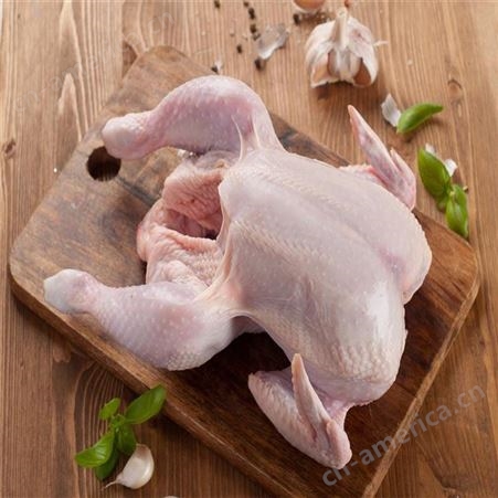 鸡肉调理品批发     信生牧业    黑龙江鸡肉食品加工     鸡肉冻品厂家