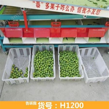 苹果选果机 9轨式选果机 水果选果机