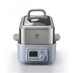 北鼎（Buydeem）家用全自动电蒸锅电炖锅炖汤锅电煮锅-G55