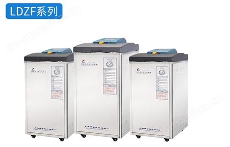 上海申安立式高压蒸汽灭菌器LDZF-50L自动控制灭菌锅灭菌器