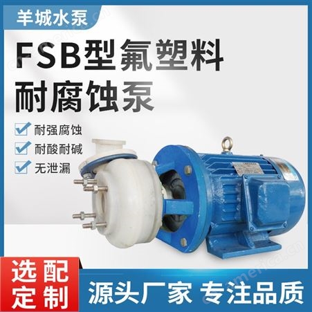 广州羊城FSB氟塑料离心泵 卧式耐酸碱腐蚀泵 工程塑料化工泵防腐泵