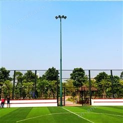 绍兴市学校足球场照明灯杆 优格12-15m镀锌灯杆 结实