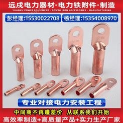 河北厂家 钎焊铜铝端子铜铝鼻子DTL-240 铜铝鼻子