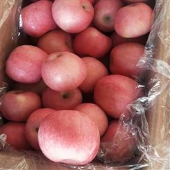 聊城市报价红富士苹果 新鲜水果 宏远果蔬 满足供应